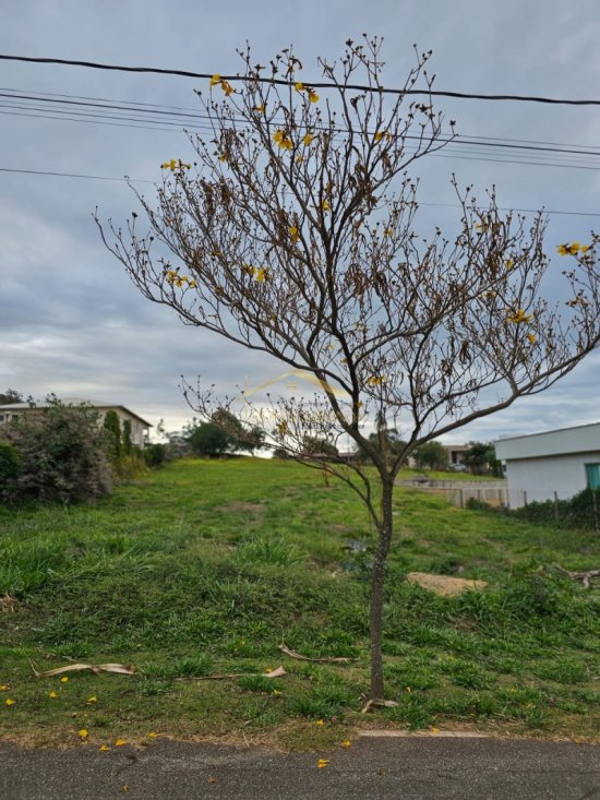lote-venda-serra-dos-bandeirantes-mario-campos-1012534