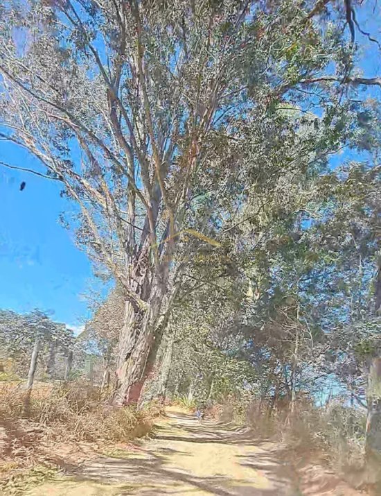 terreno-venda-bairro-serra-negra-betim-1032067