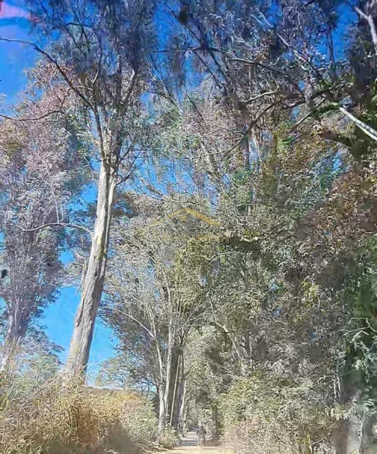 terreno-venda-bairro-serra-negra-betim-1032068