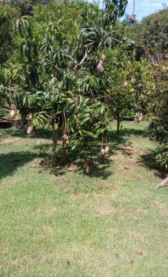 casa-em-condominio-venda-cond-rancho-grande-mateus-leme-1040970