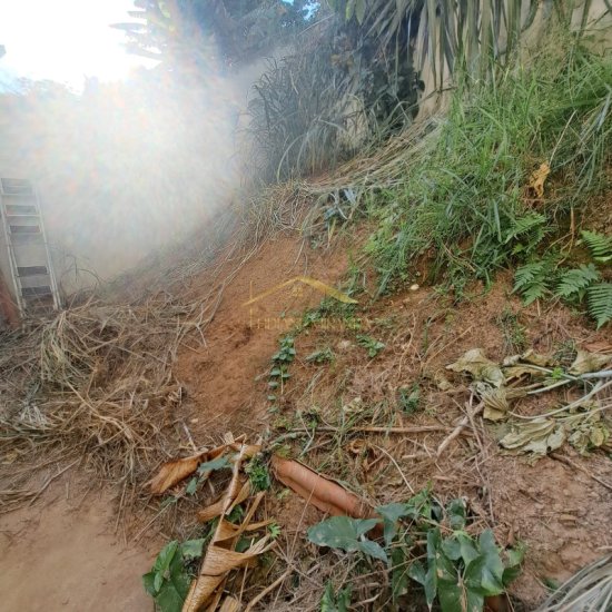 casa-venda-e-aluguel-novo-horizonte-betim-1042063