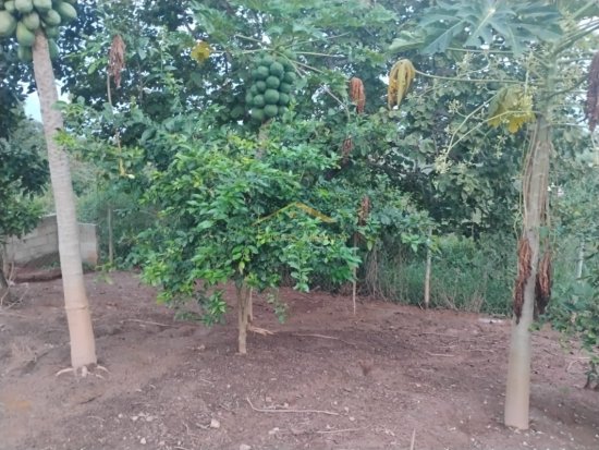 chacara-venda-diamantina-juatuba-1089536