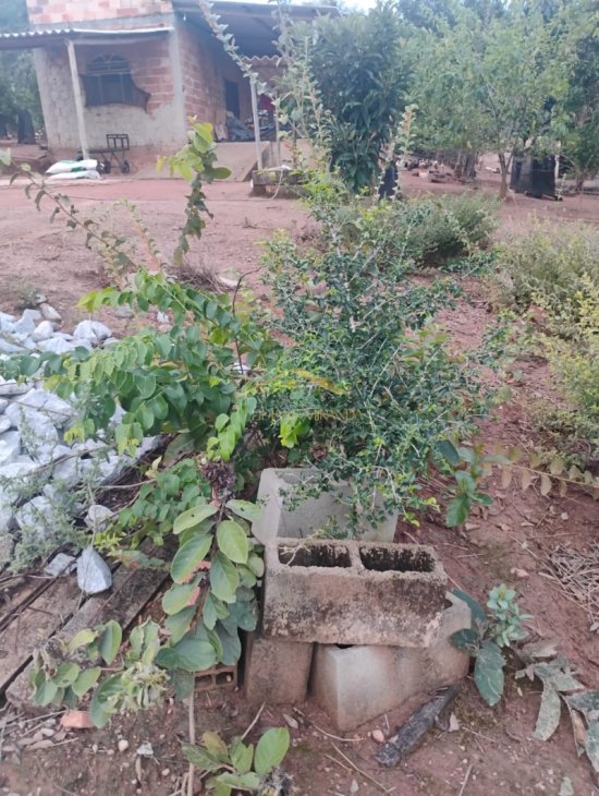 chacara-venda-diamantina-juatuba-1089541