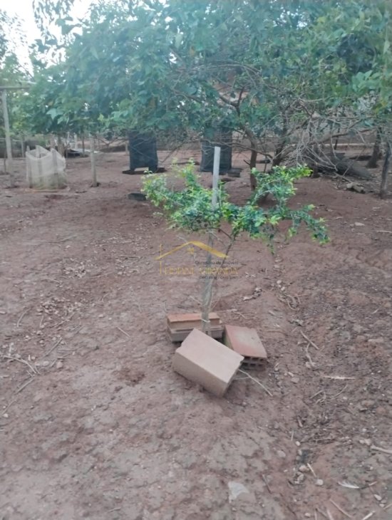 chacara-venda-diamantina-juatuba-1089542