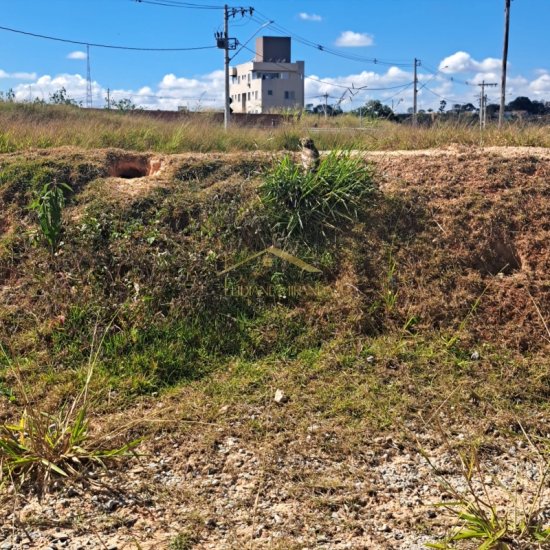 terreno-venda-condominio-horizontes-betim-1029016